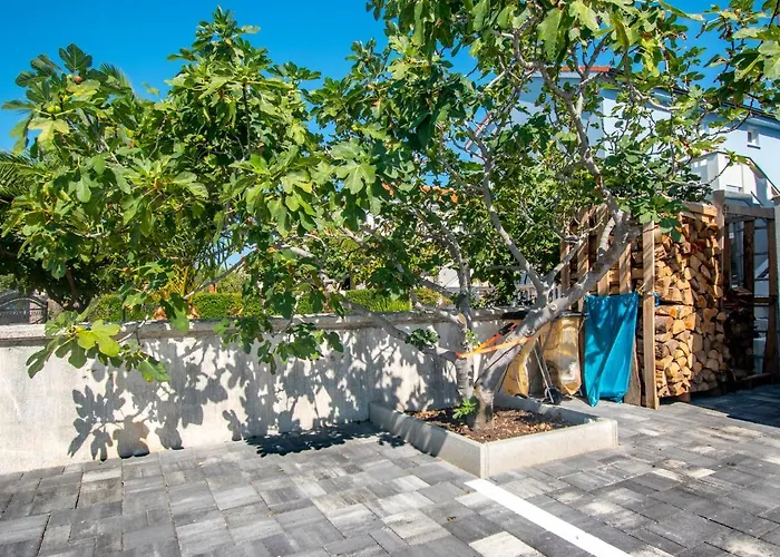 Olea Διαμέρισμα